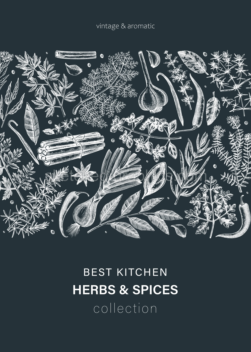 Hand-drawn herbs and spices vector card on chalkboard. Hand-sketched food illustration. Aromatic plant drawings. Kitchen herbs and spice frame template in sketched style for invitation, menu, banners Illustration